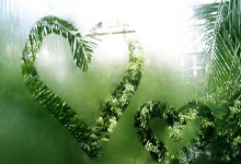 中国民营企业座谈会召开,习近平强调民营经济重要性.