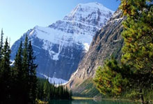 中国民营企业座谈会召开，习近平强调民营经济重要性.