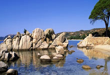 WTT马斯喀特站：陈垣宇、石洵瑶分获男女单冠军.